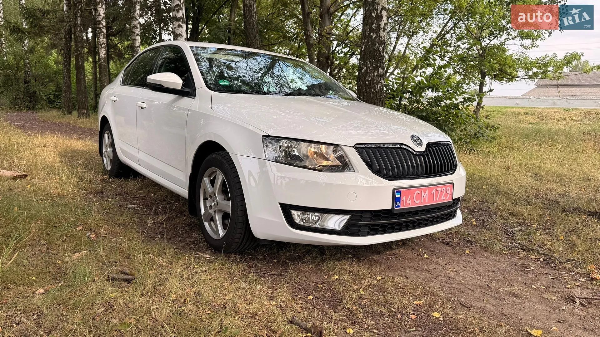 2017 Skoda Octavia - мініатюра 2