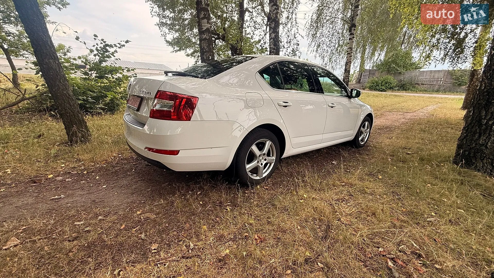 2017 Skoda Octavia - мініатюра 11