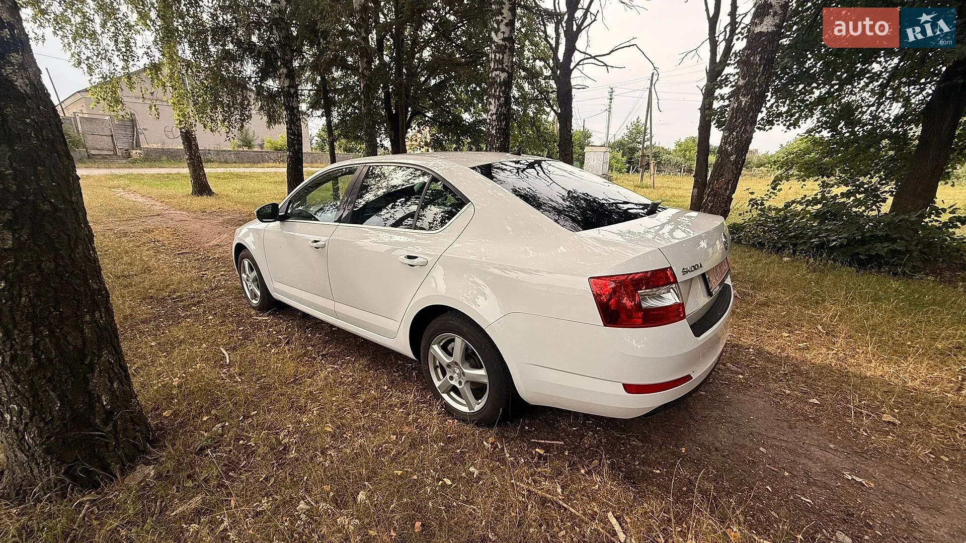 2017 Skoda Octavia - мініатюра 15