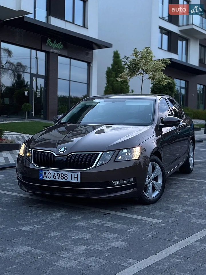 2019 Skoda Octavia - мініатюра 15