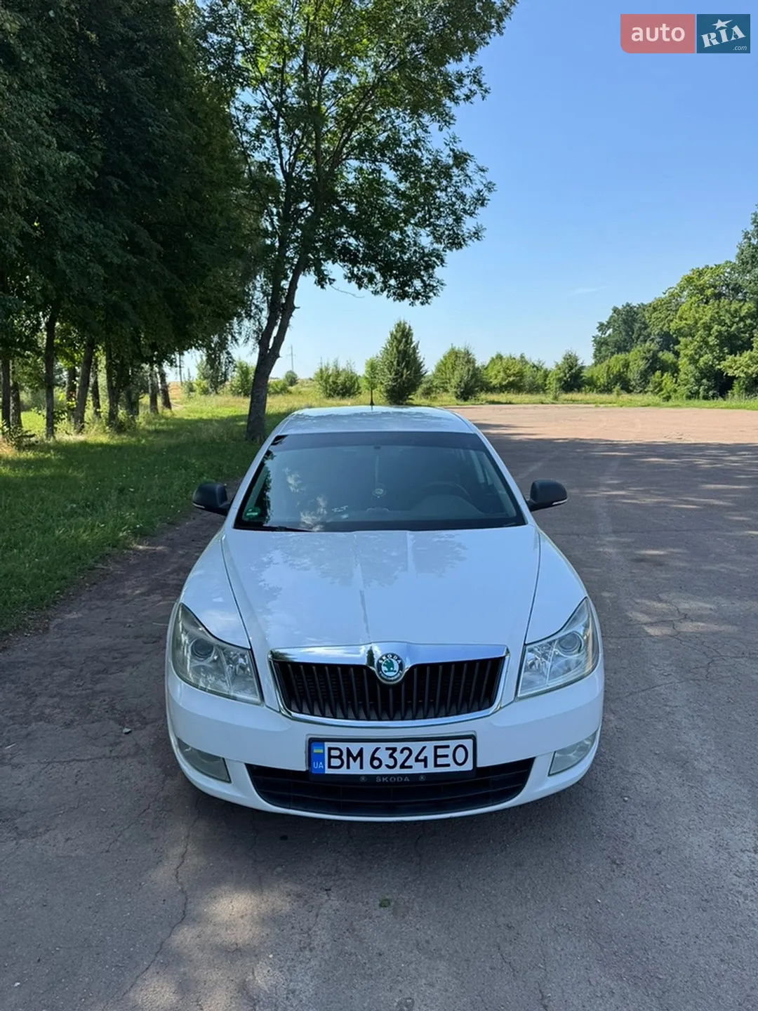 2013 Skoda Octavia - фото 1