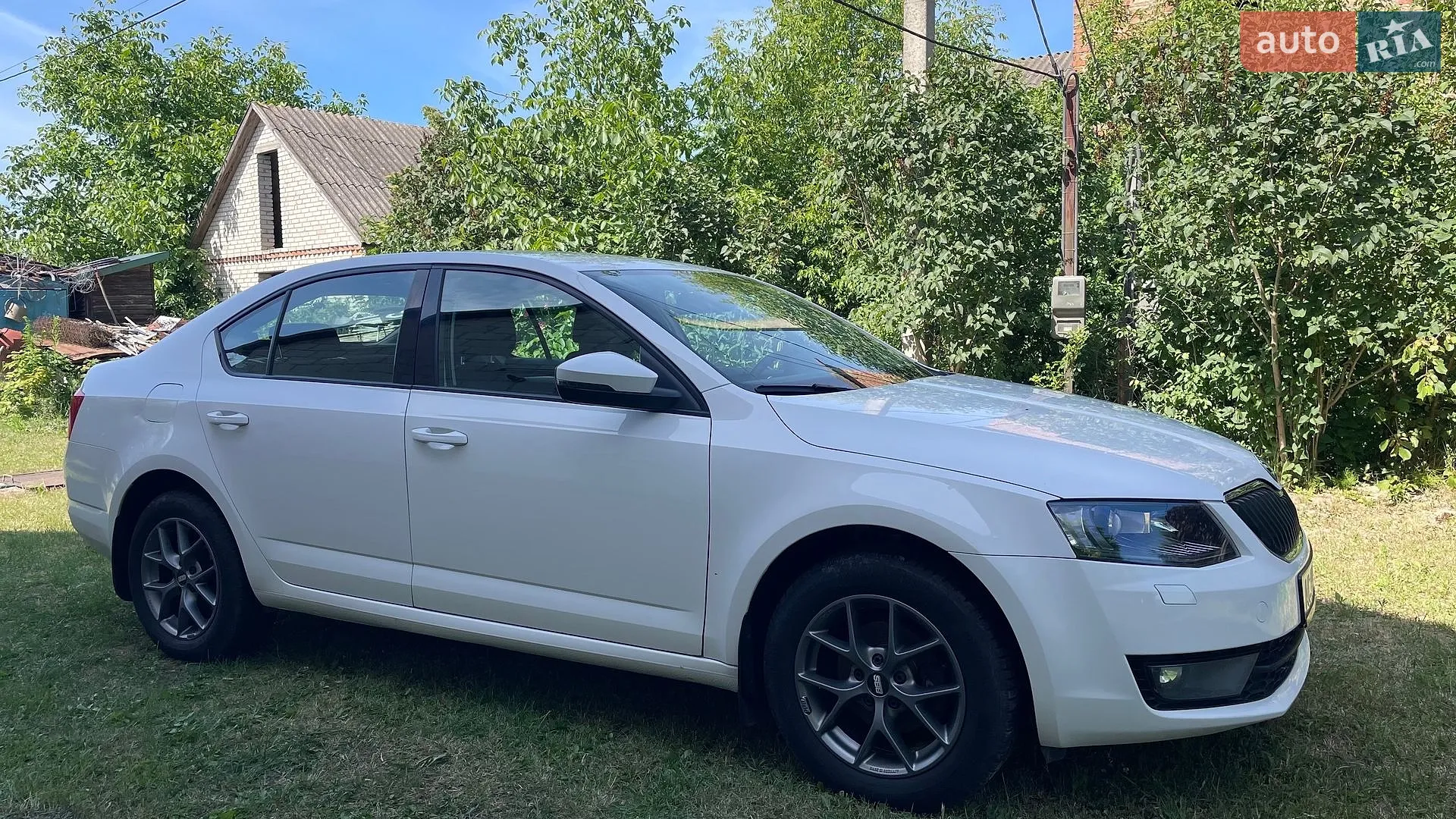 2017 Skoda Octavia - фото 1