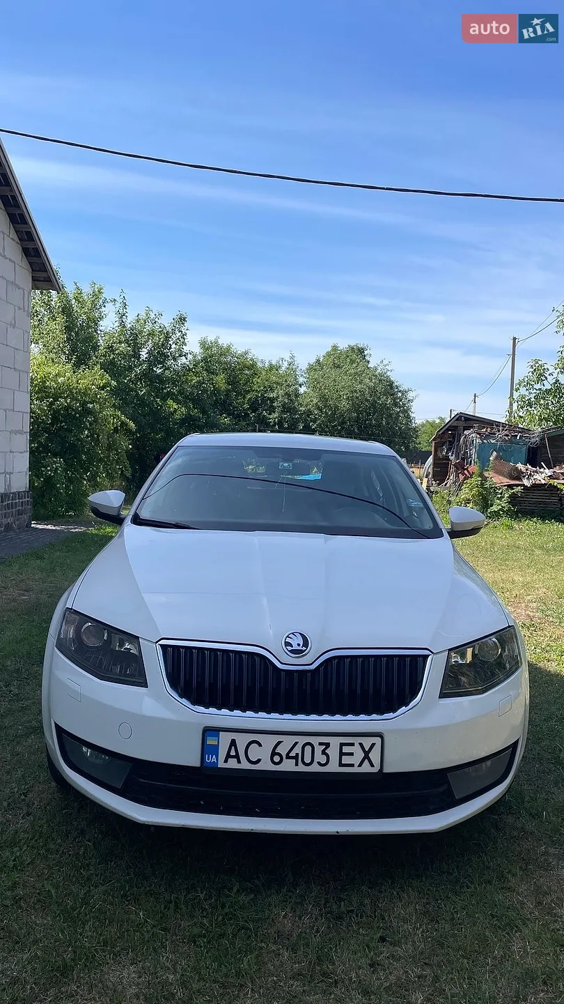 2017 Skoda Octavia - мініатюра 3