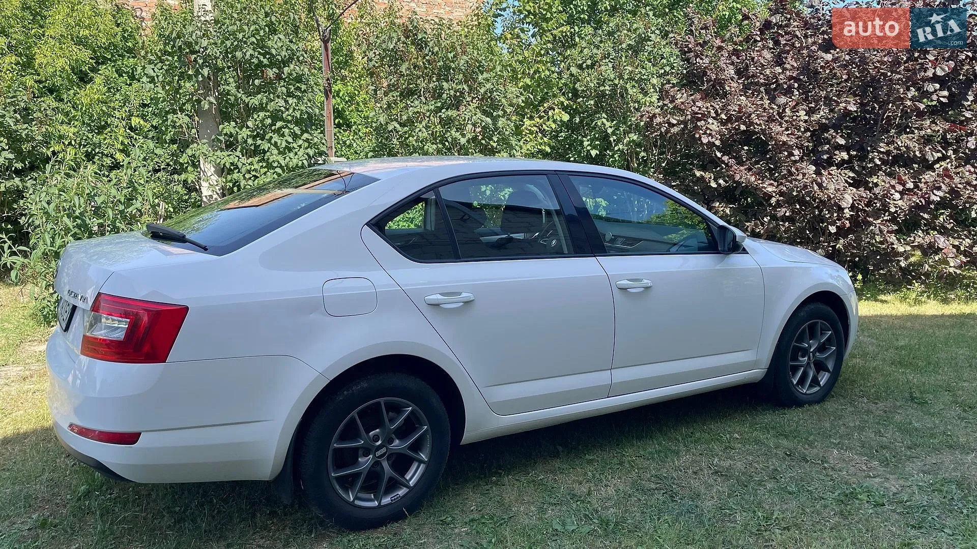 2017 Skoda Octavia - мініатюра 2