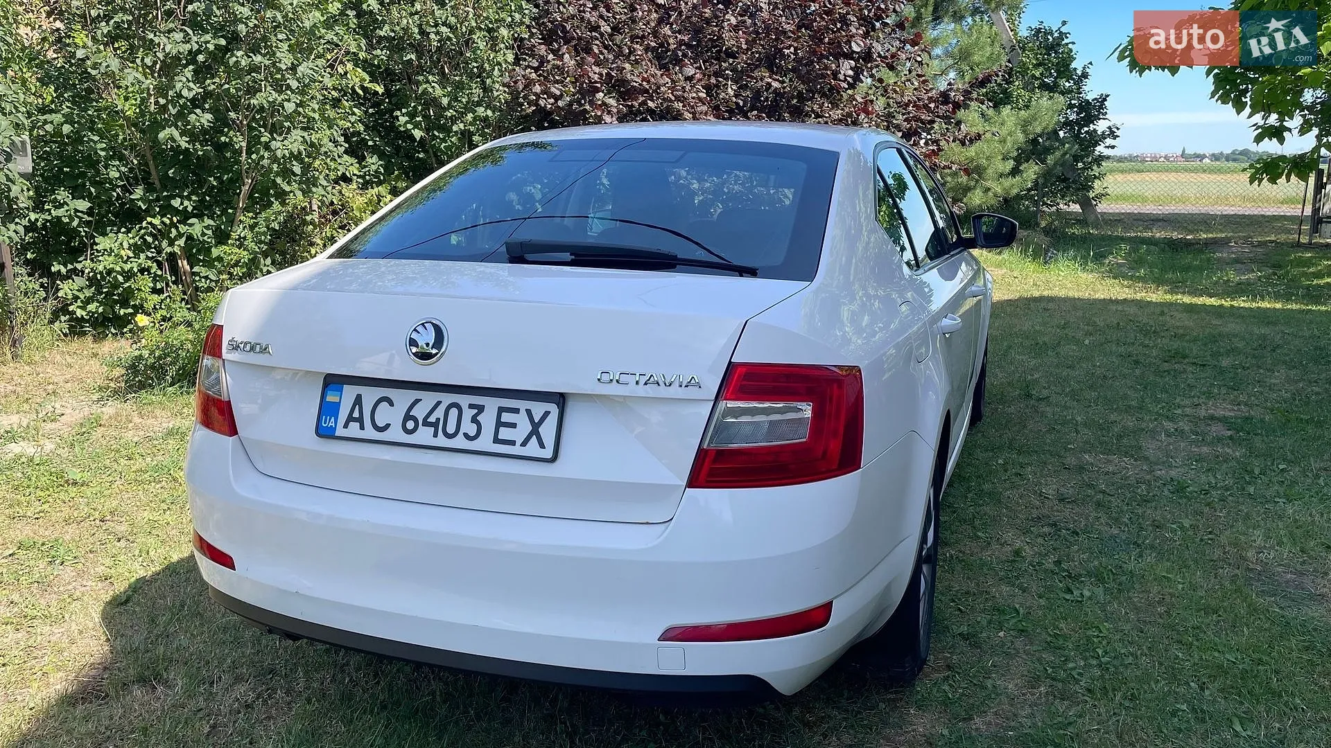 2017 Skoda Octavia - мініатюра 7