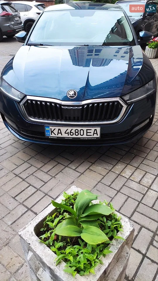 2021 Skoda Octavia - мініатюра 19