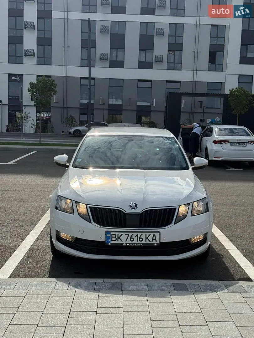 2019 Skoda Octavia - мініатюра 12