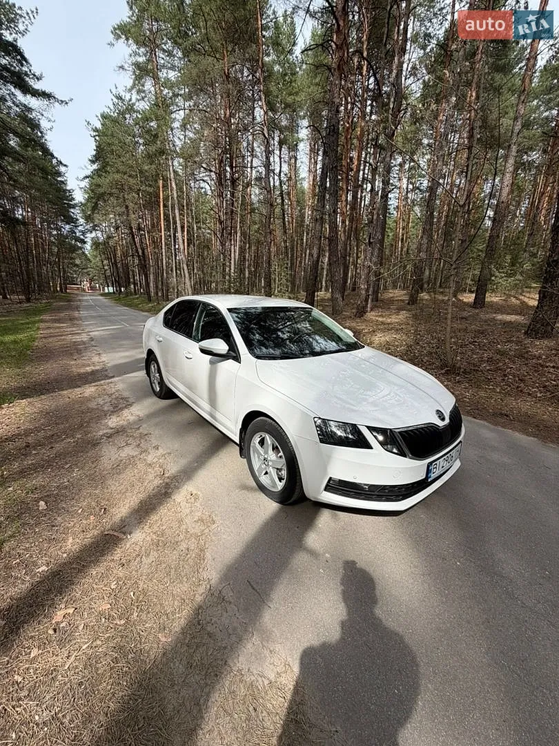 2019 Skoda Octavia - мініатюра 4