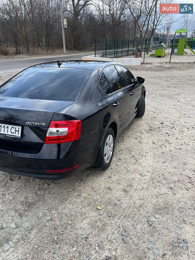 2020 Skoda Octavia - мініатюра 5