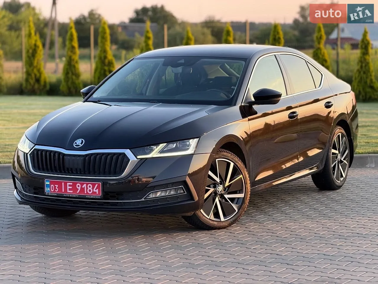 2021 Skoda Octavia - мініатюра 13
