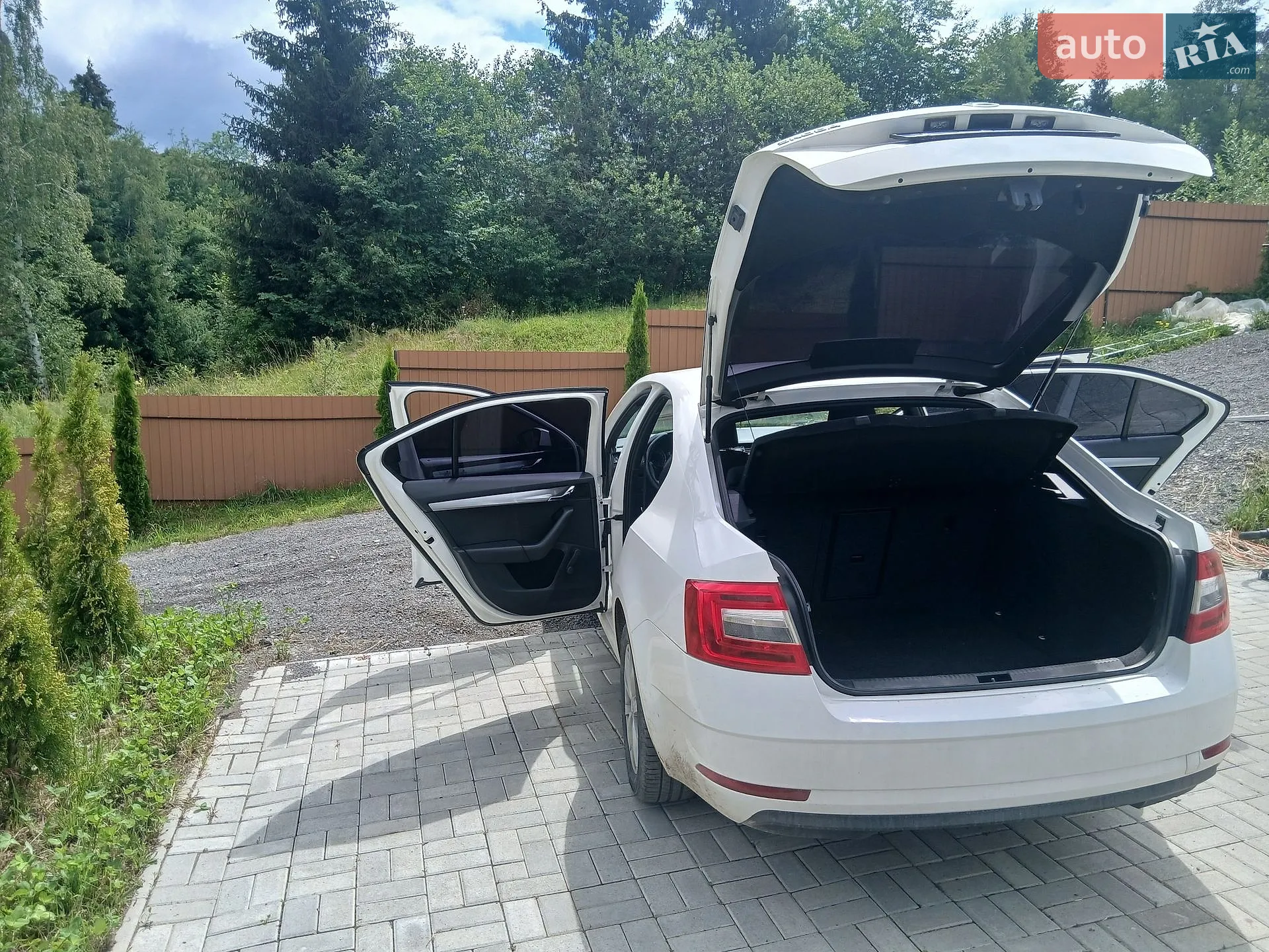 2017 Skoda Octavia - мініатюра 4
