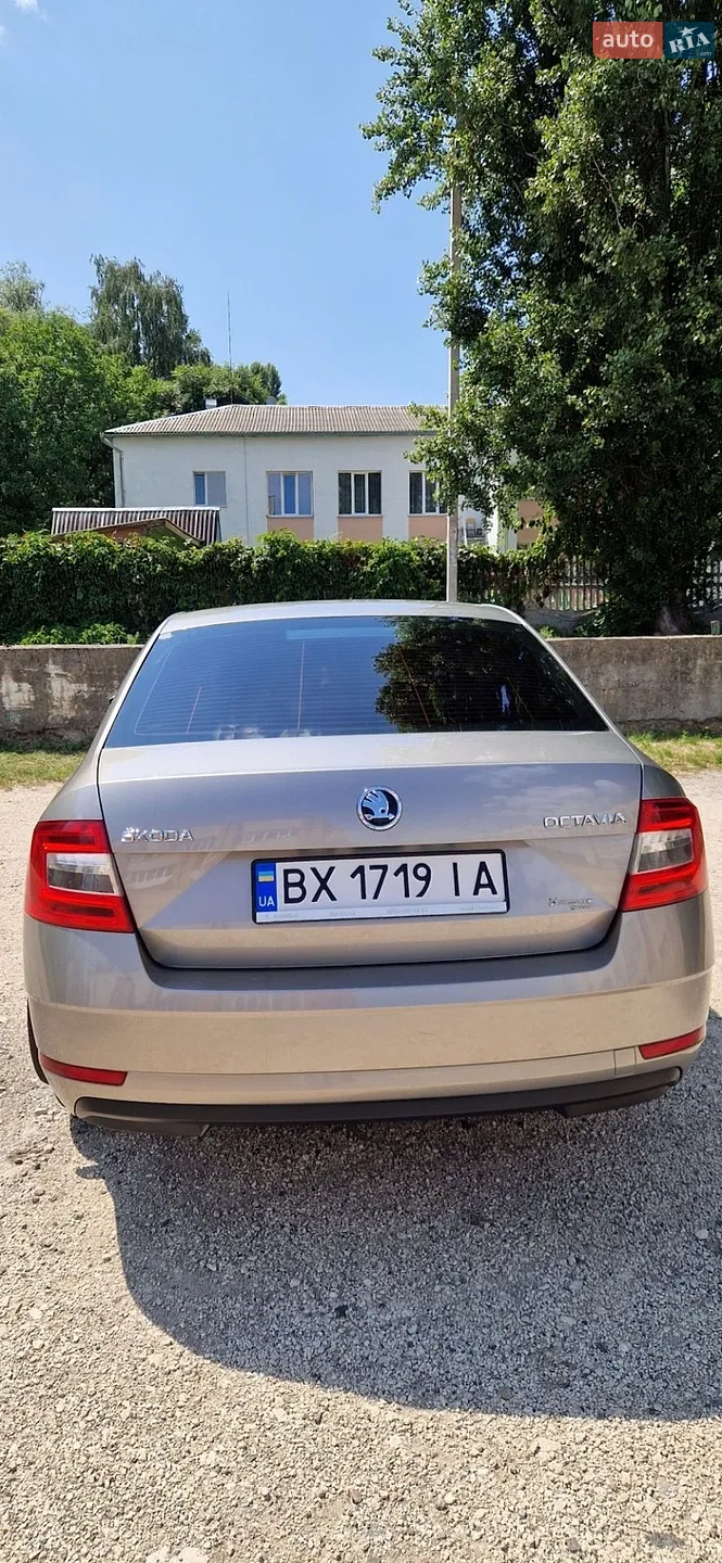 2018 Skoda Octavia - мініатюра 3