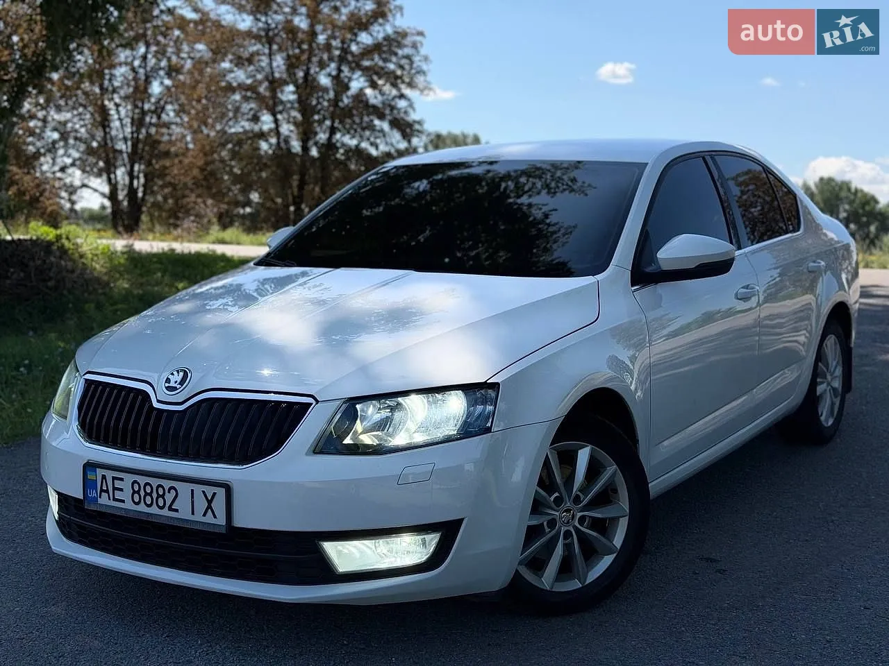 2013 Skoda Octavia - фото 1