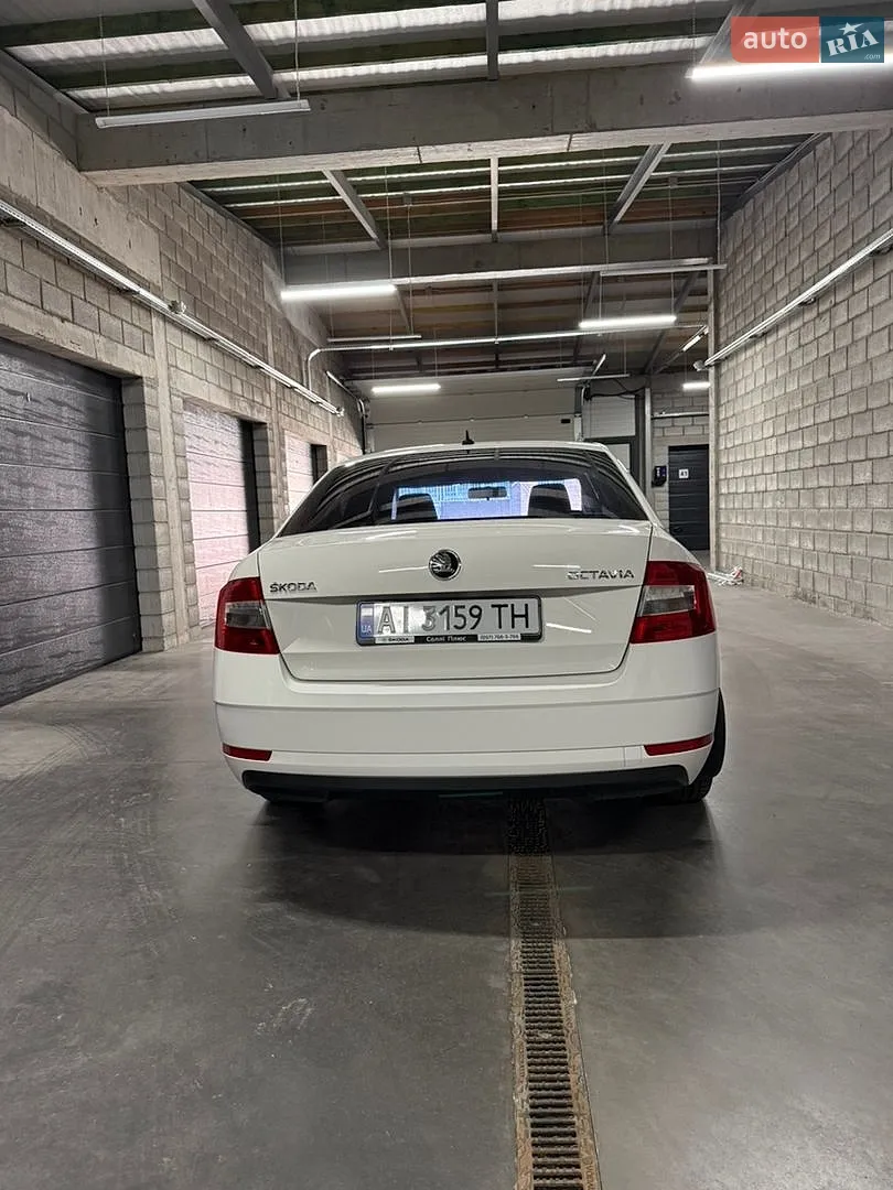 2019 Skoda Octavia - мініатюра 6