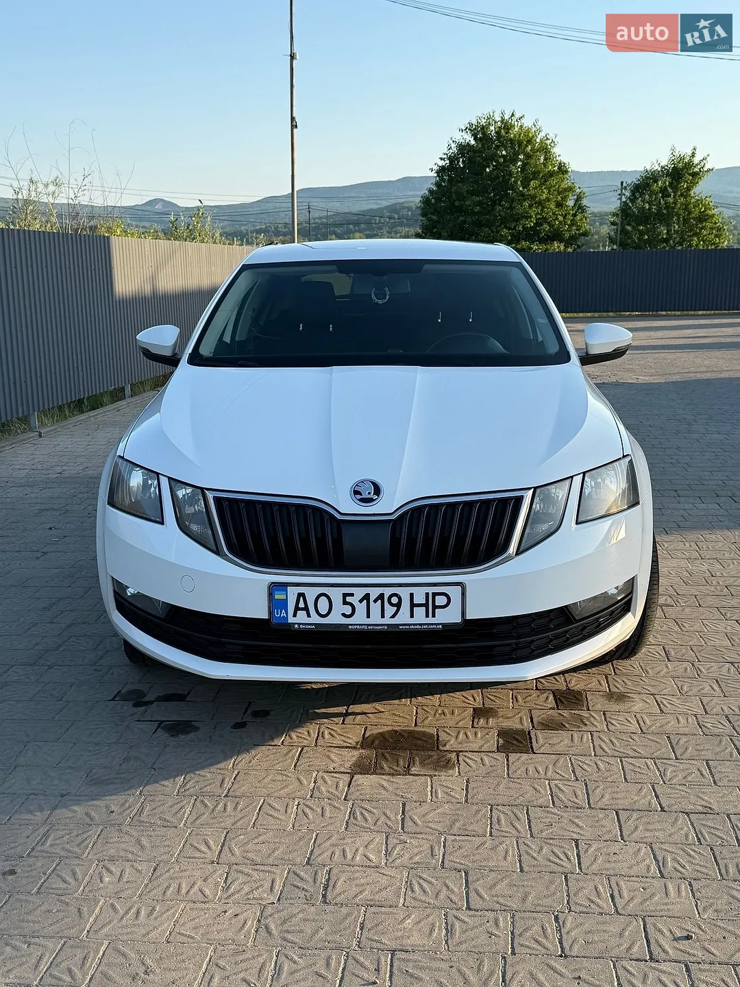2018 Skoda Octavia - фото 1