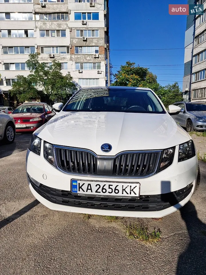 2018 Skoda Octavia - мініатюра 12
