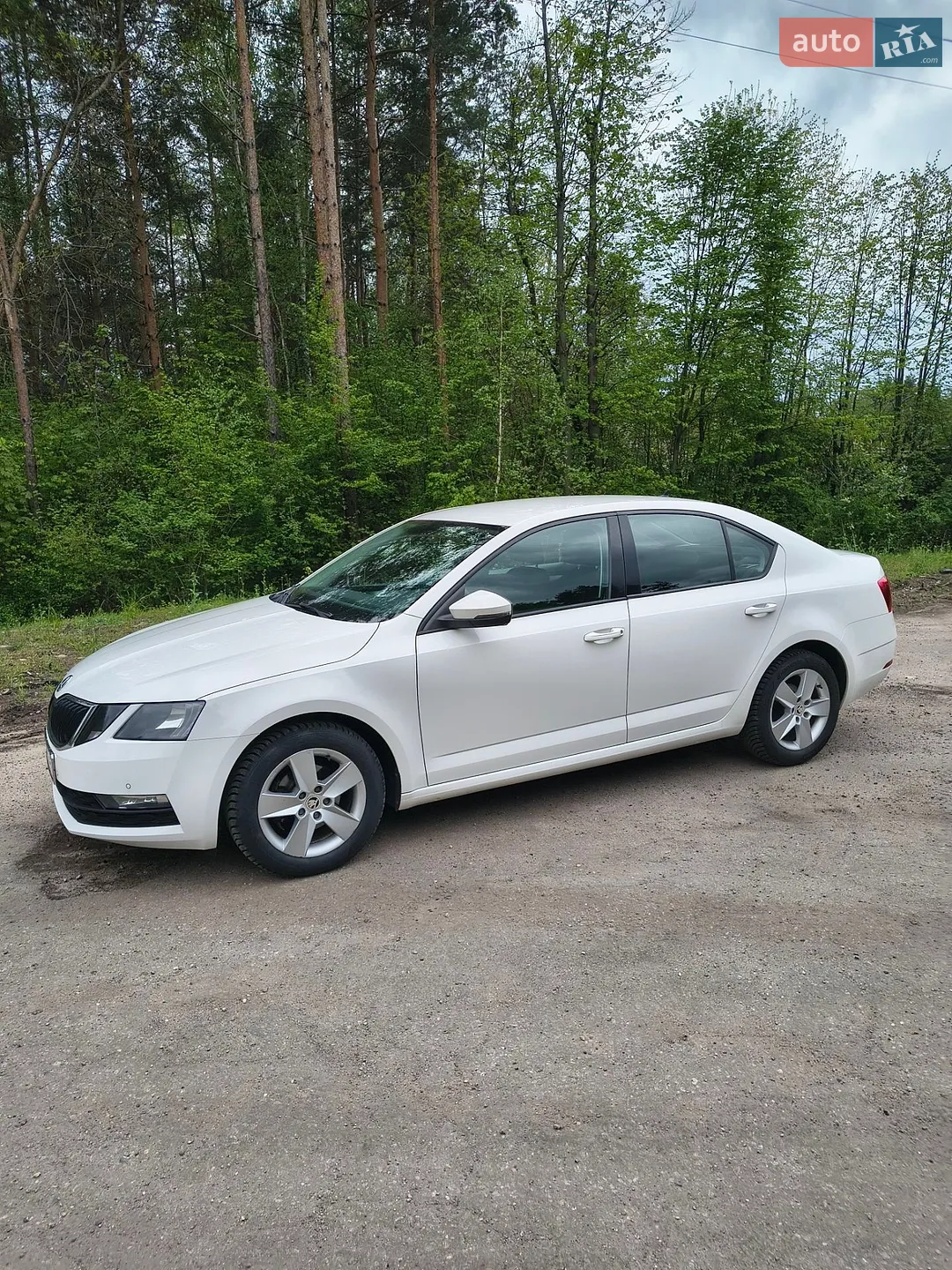 2017 Skoda Octavia - мініатюра 2