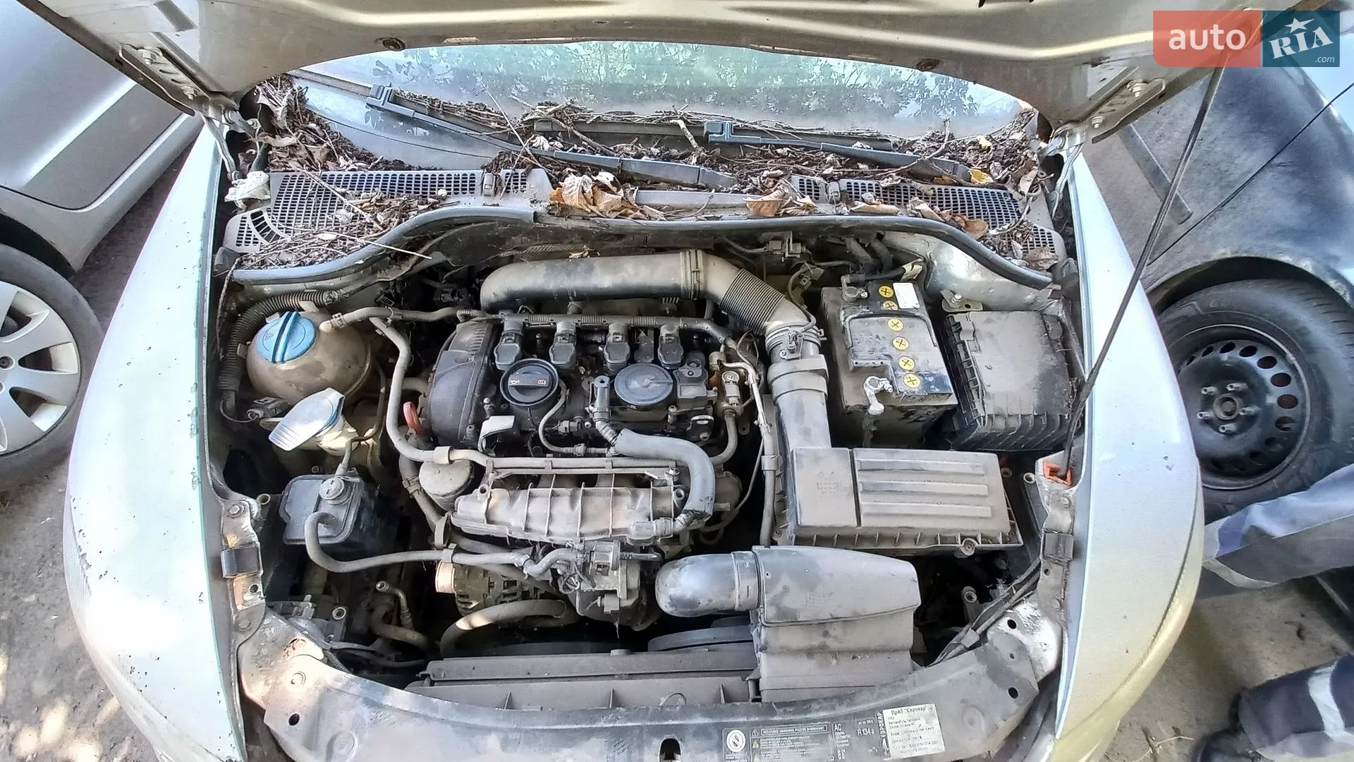 2011 Skoda Octavia - мініатюра 6
