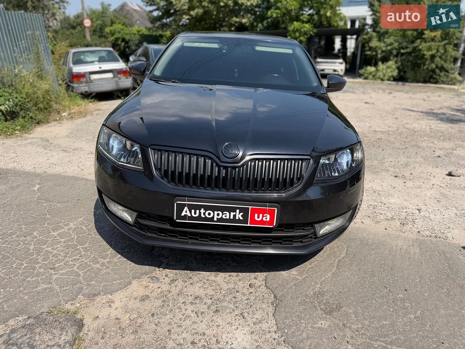 2015 Skoda Octavia - мініатюра 2