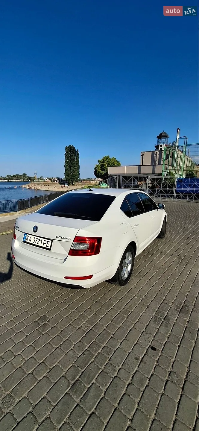 2016 Skoda Octavia - мініатюра 12