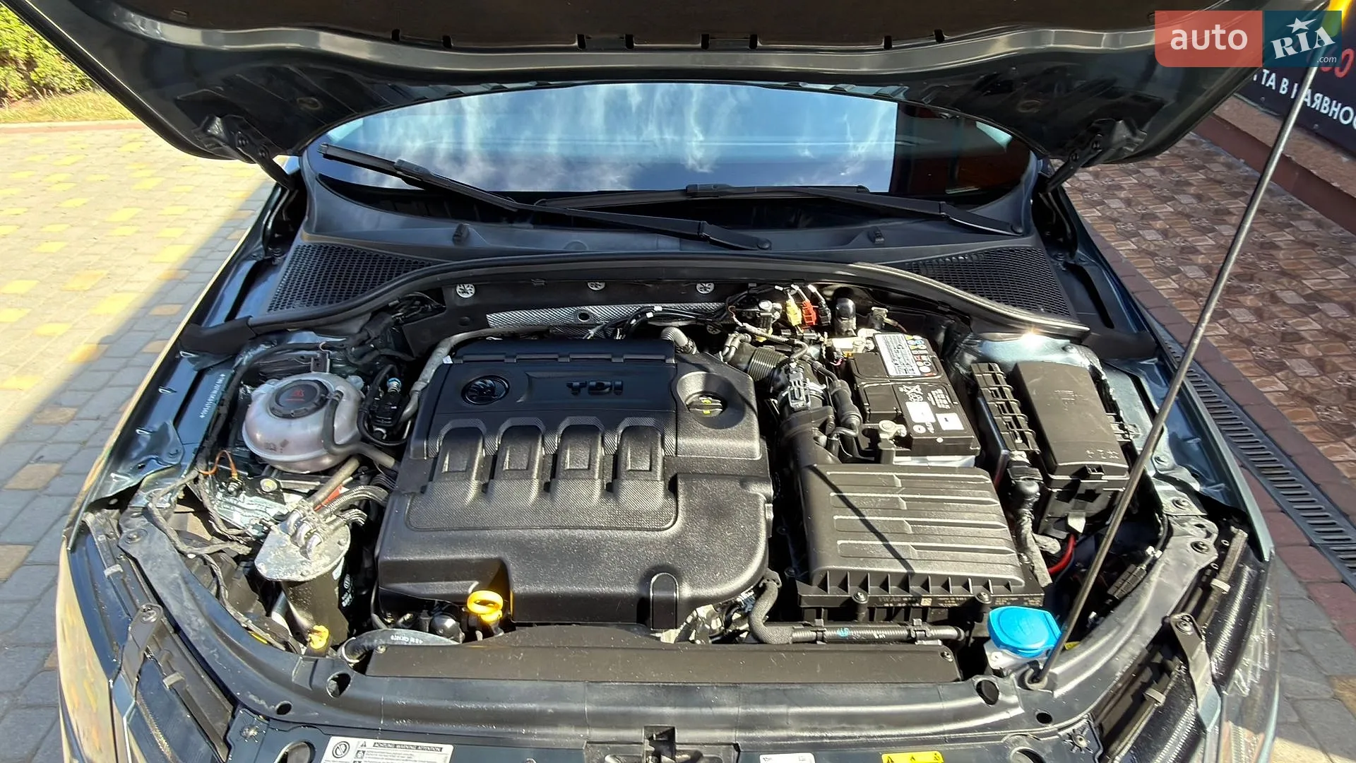 2019 Skoda Octavia - мініатюра 48