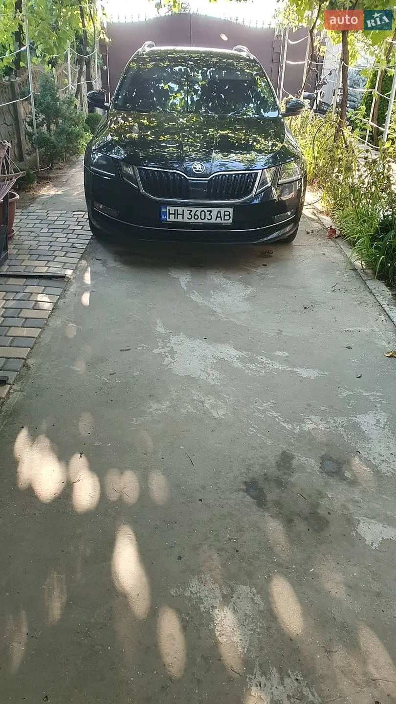 2018 Skoda Octavia - мініатюра 10
