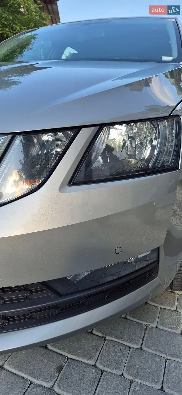 2017 Skoda Octavia - мініатюра 4