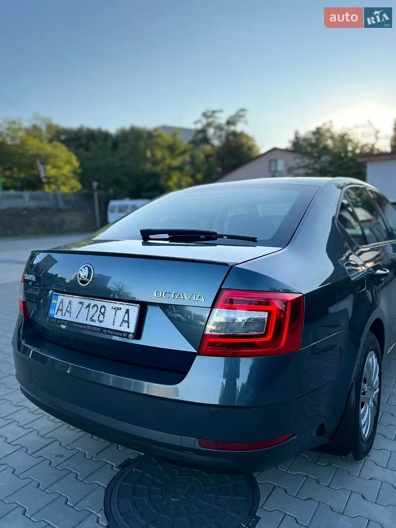 2017 Skoda Octavia - мініатюра 19
