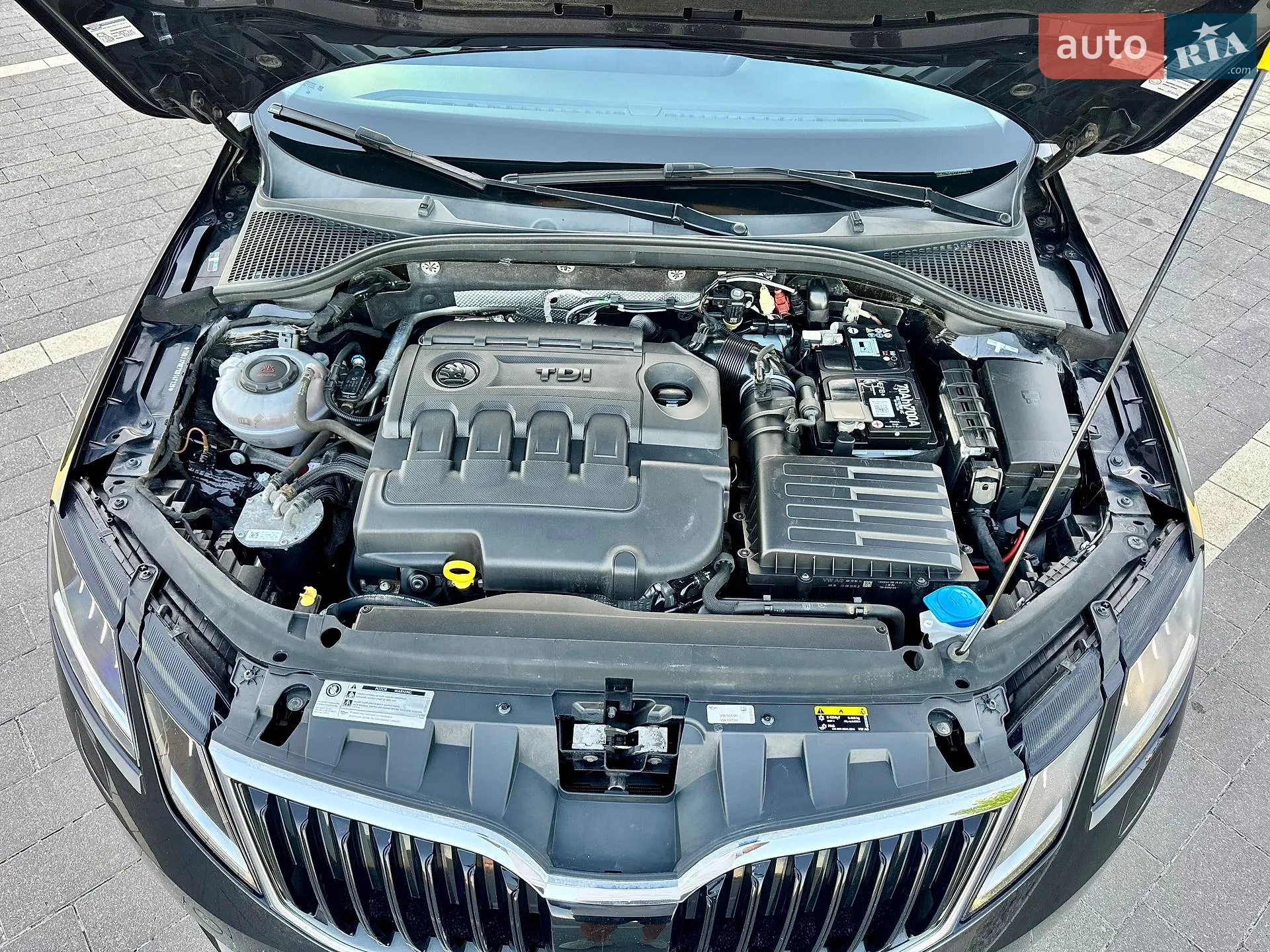 2019 Skoda Octavia - мініатюра 38