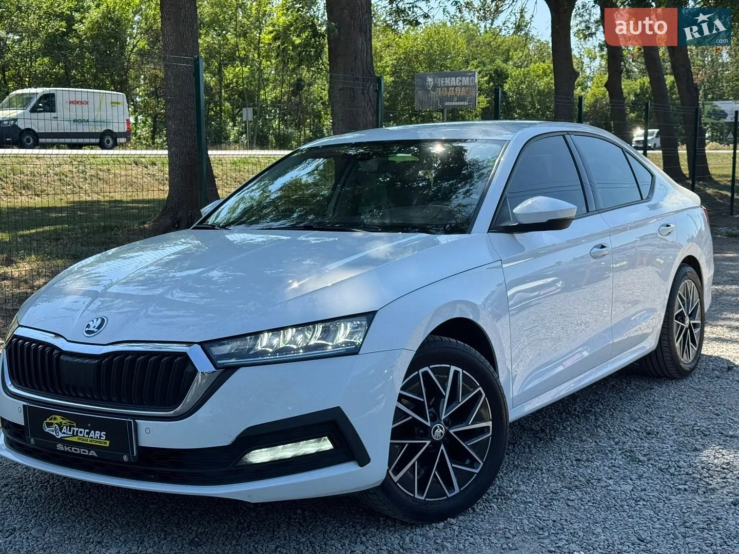 2020 Skoda Octavia - фото 1