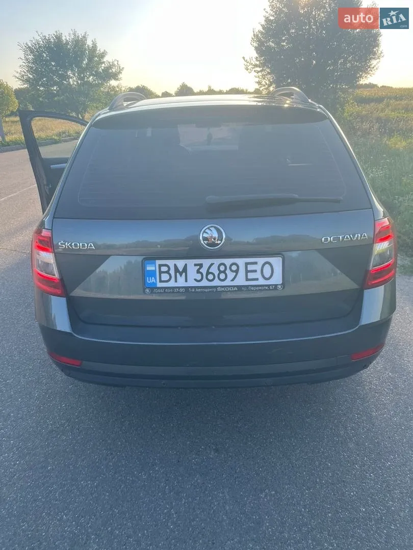 2017 Skoda Octavia - мініатюра 5