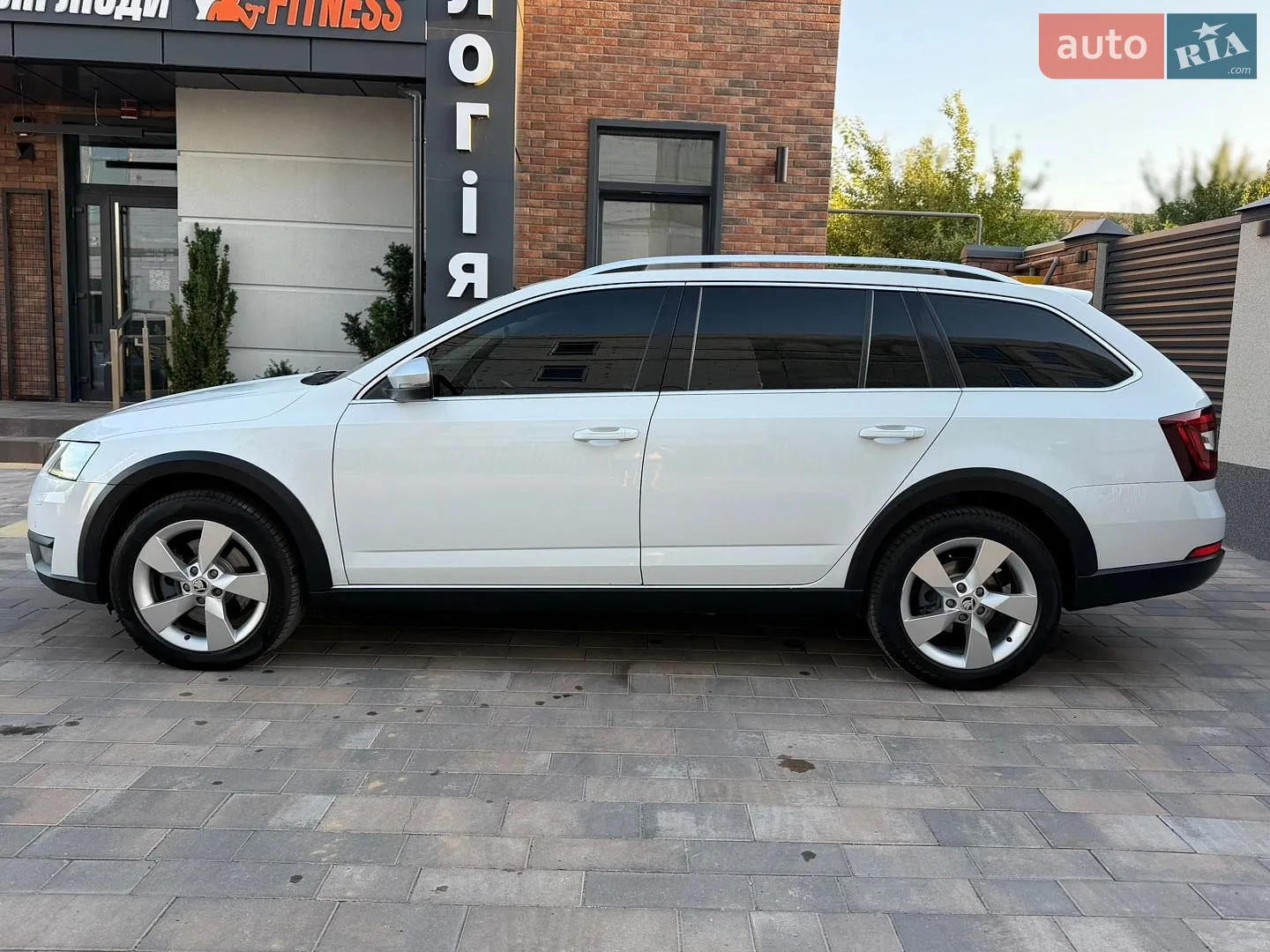 2020 Skoda Octavia - мініатюра 6