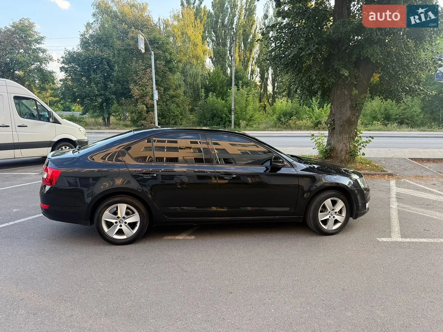 2014 Skoda Octavia - мініатюра 10