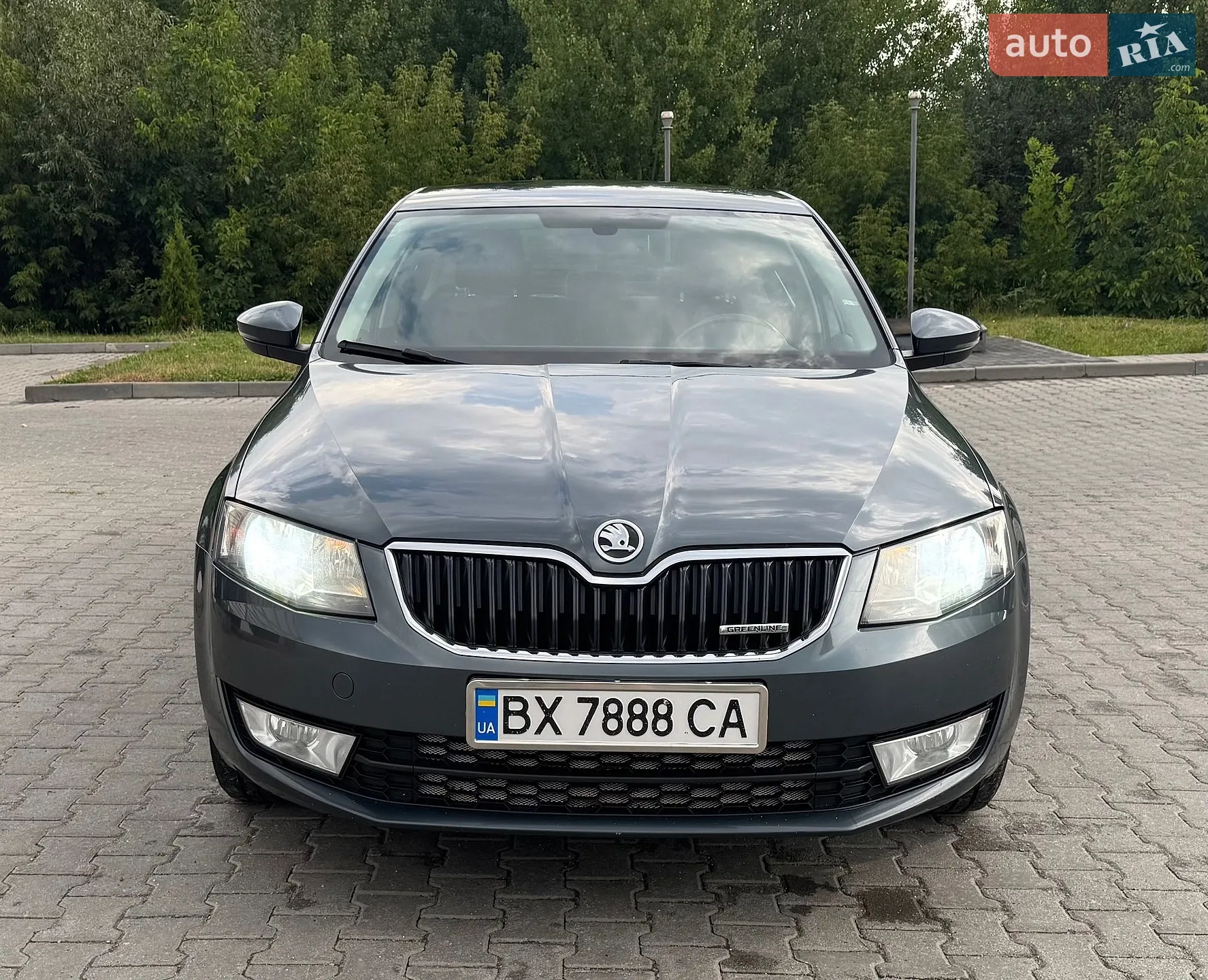 2014 Skoda Octavia - мініатюра 19