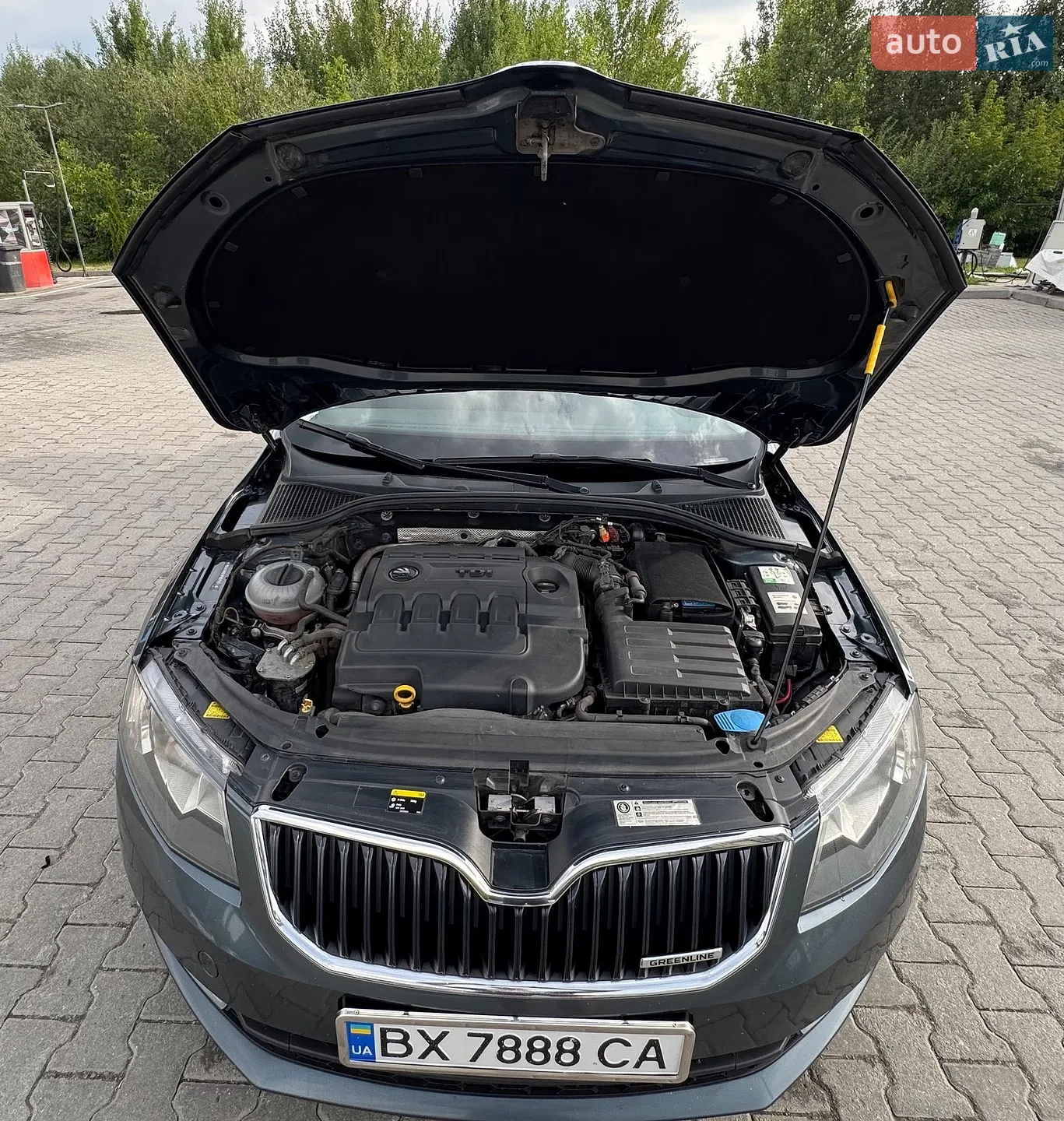2014 Skoda Octavia - мініатюра 49
