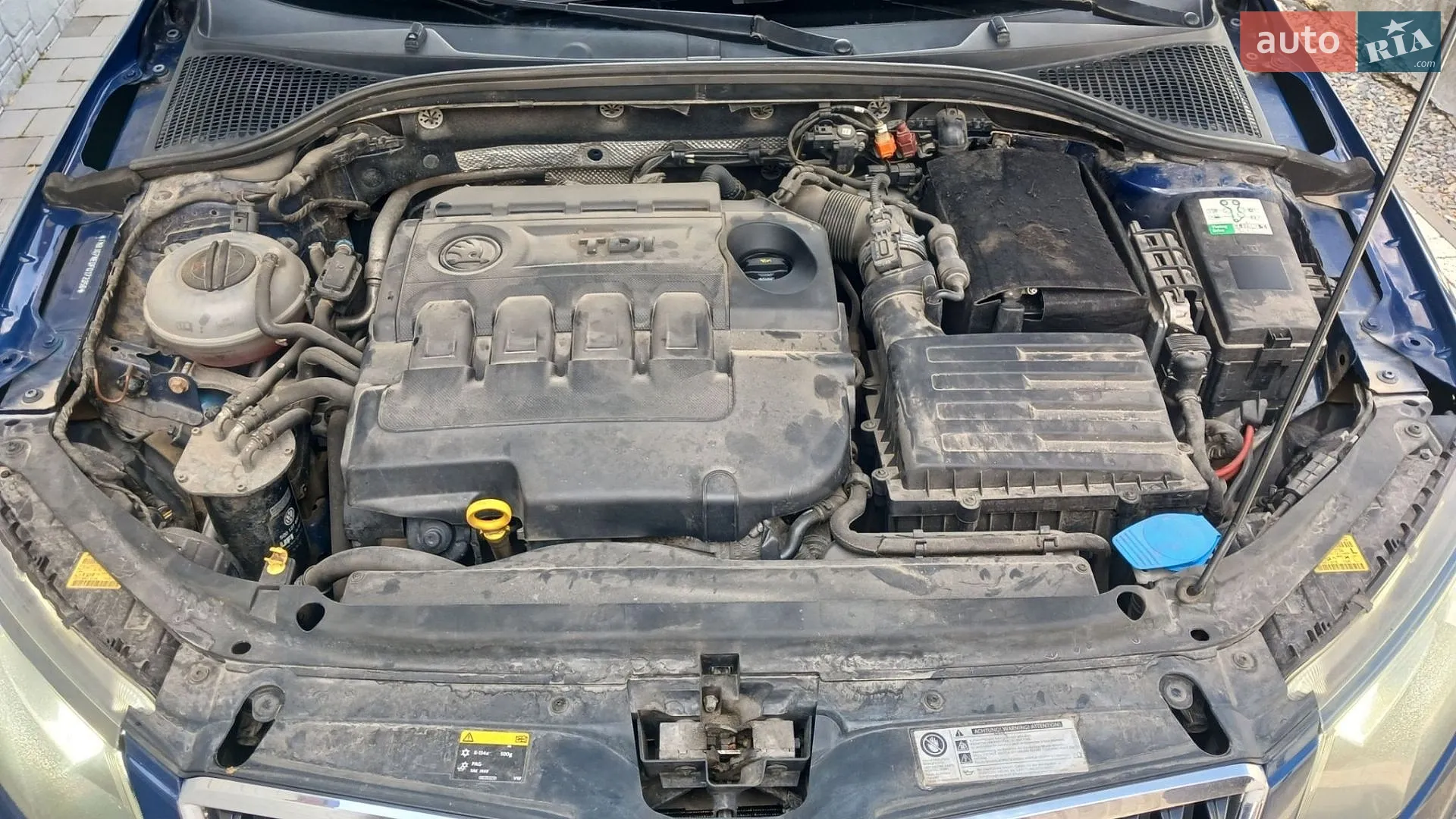 2015 Skoda Octavia - мініатюра 7