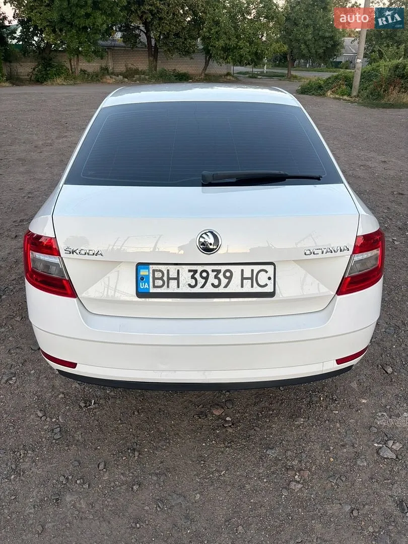 2017 Skoda Octavia - мініатюра 5