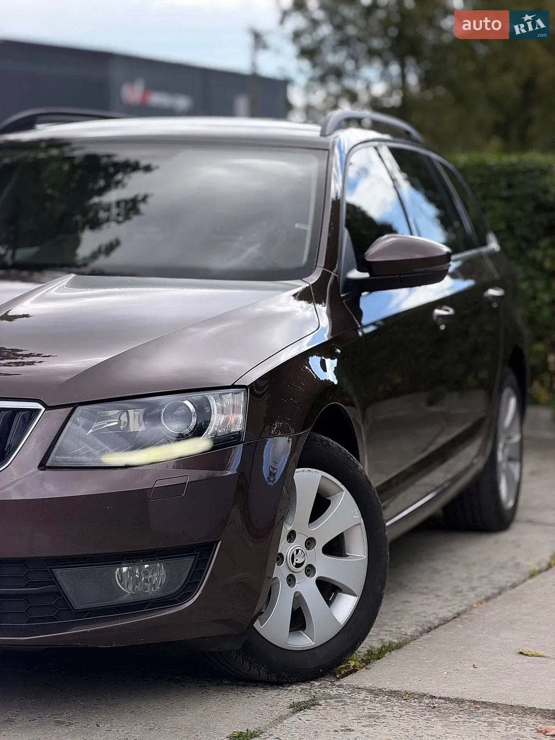 2013 Skoda Octavia - мініатюра 11