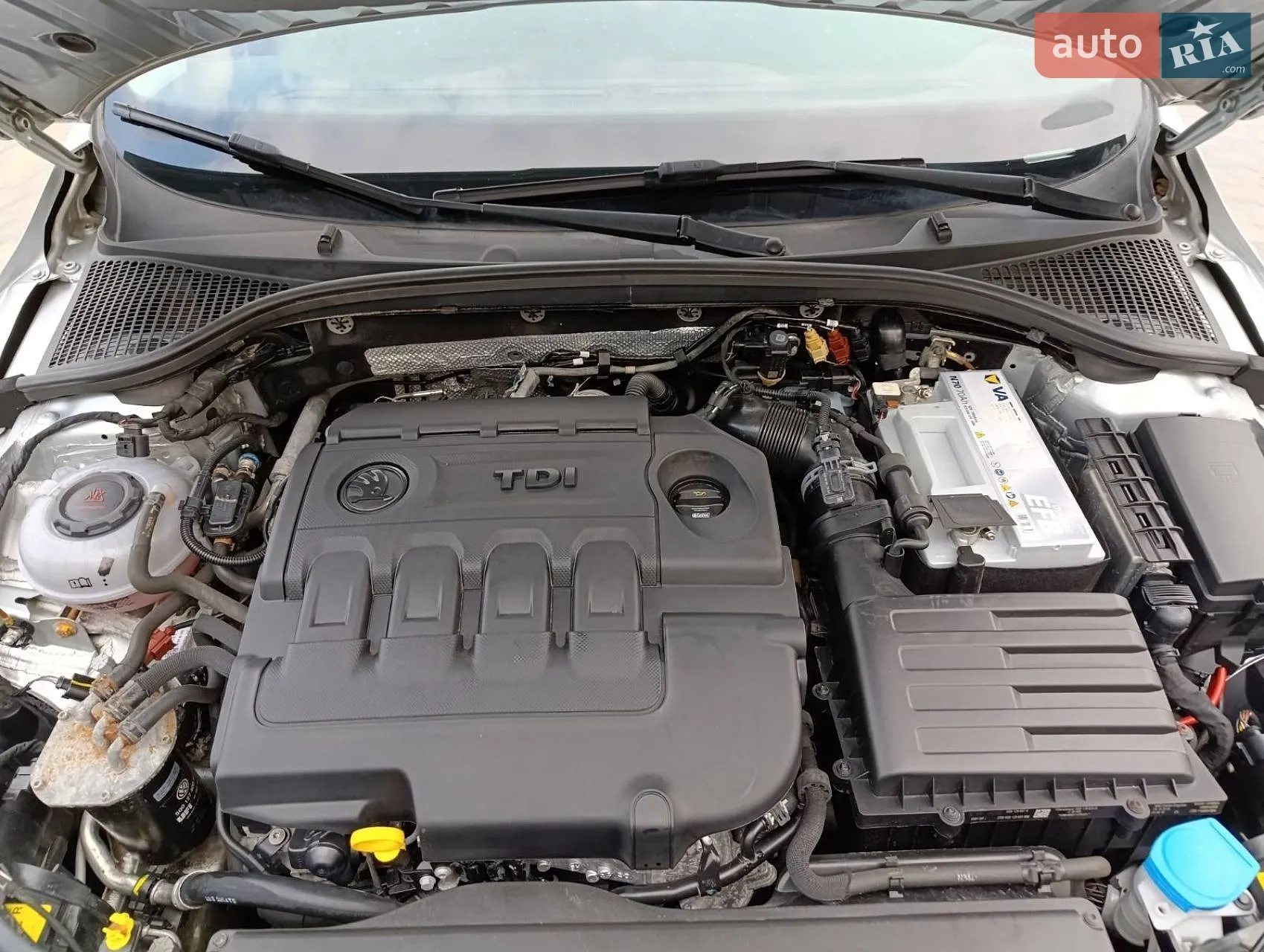 2018 Skoda Octavia - мініатюра 34