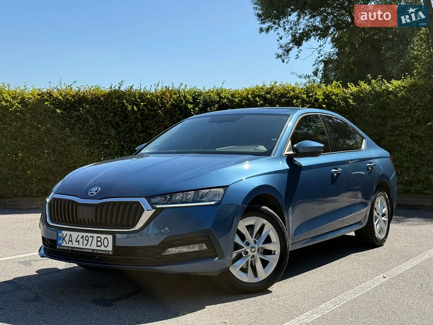 2020 Skoda Octavia - фото 1