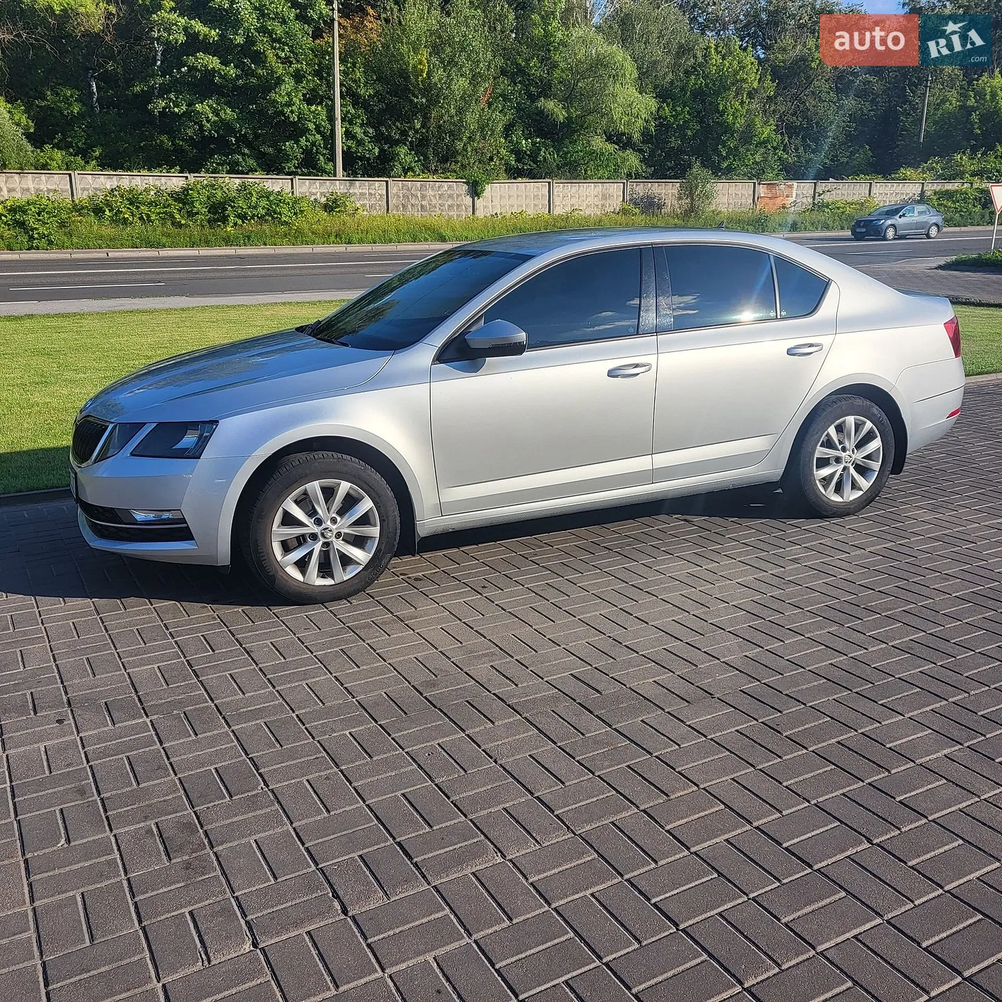 2019 Skoda Octavia - мініатюра 13