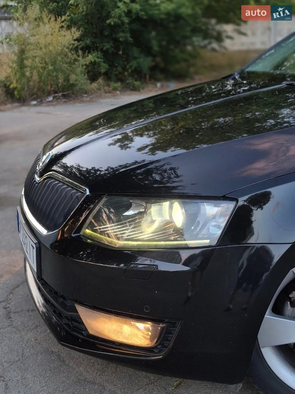 2013 Skoda Octavia - мініатюра 3