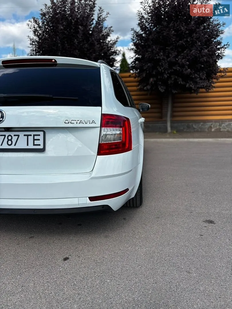 2017 Skoda Octavia - мініатюра 22