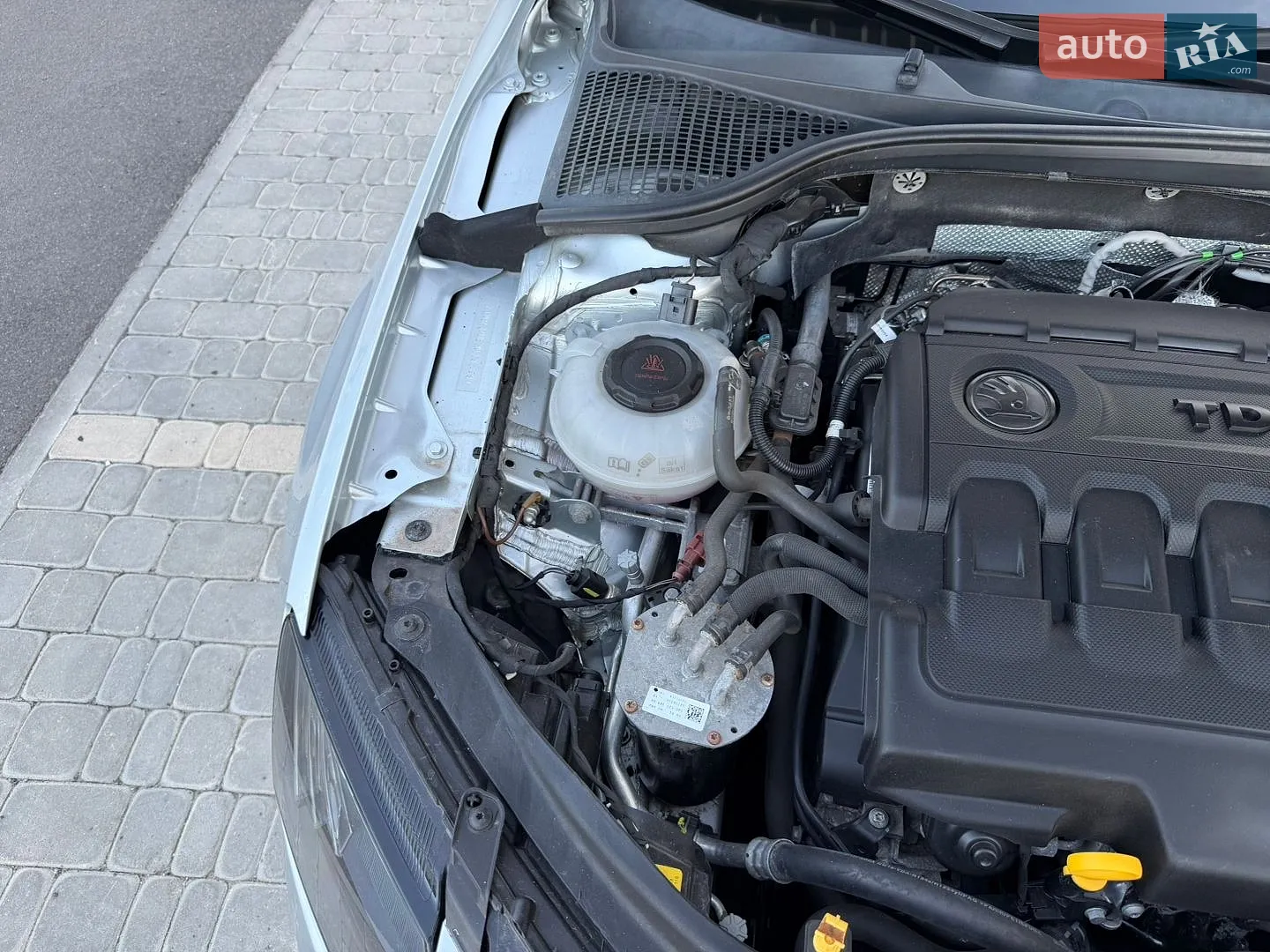 2018 Skoda Octavia - мініатюра 71