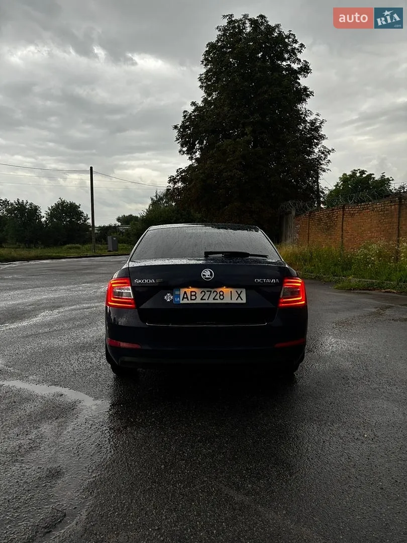 2016 Skoda Octavia - мініатюра 5