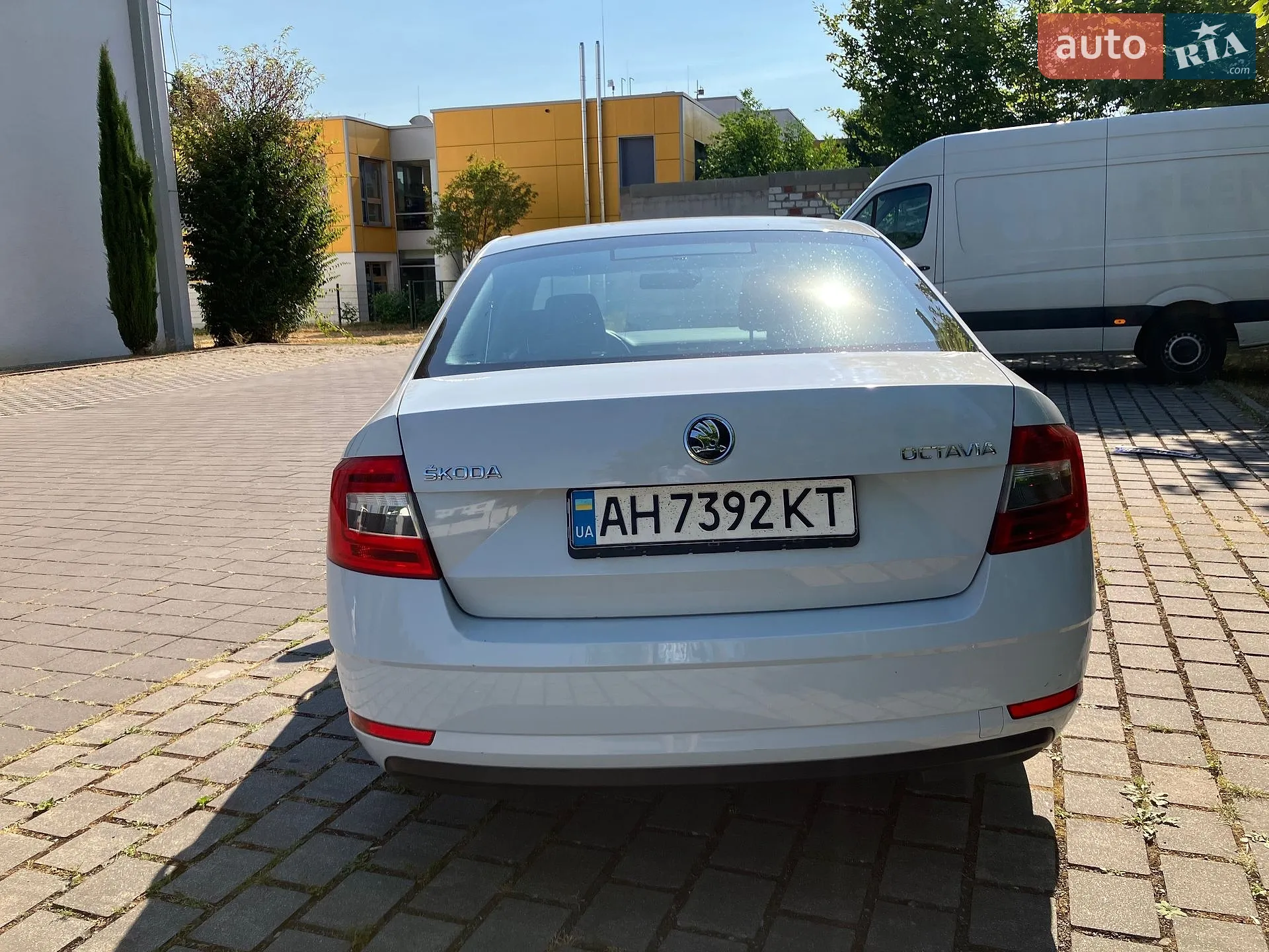 2019 Skoda Octavia - мініатюра 7