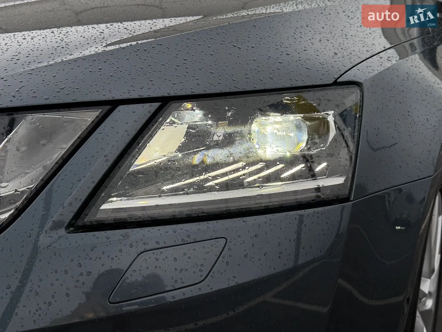 2020 Skoda Octavia - мініатюра 10