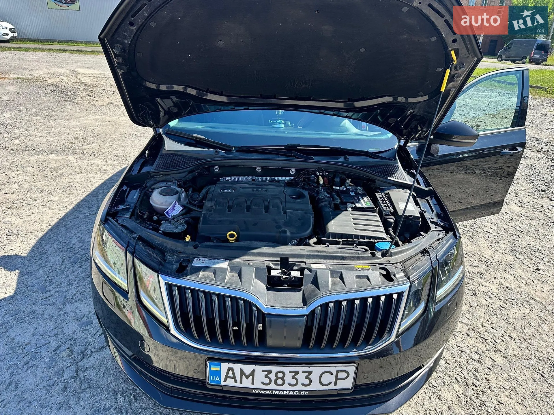 2019 Skoda Octavia - мініатюра 13