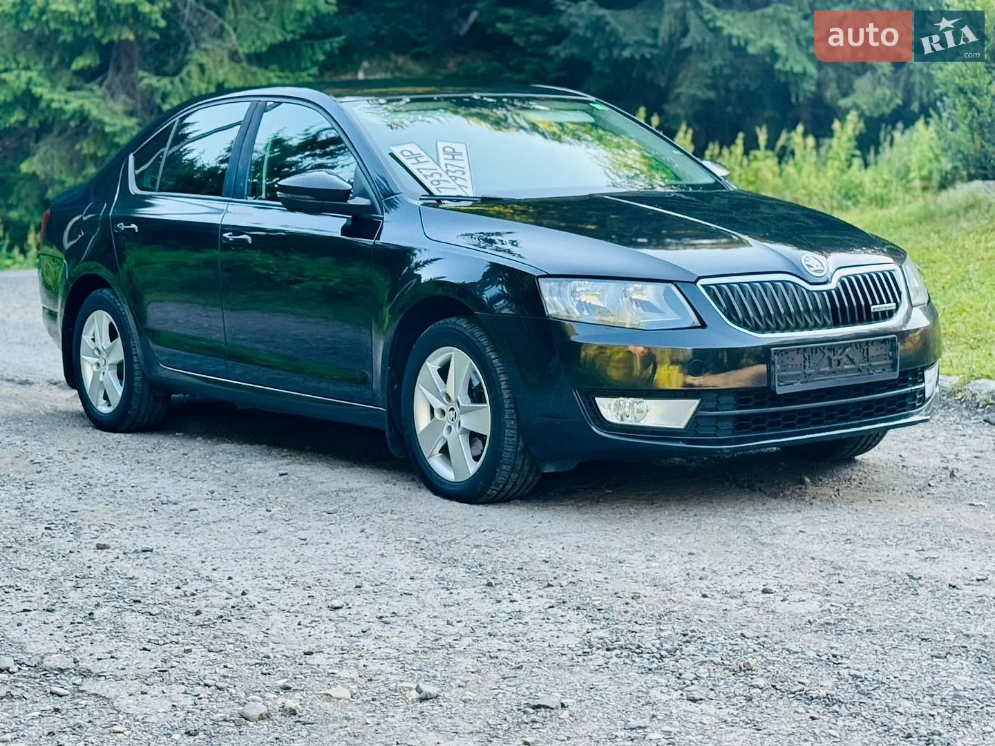 2013 Skoda Octavia - мініатюра 2