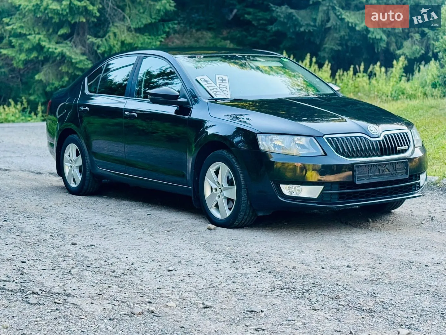 2013 Skoda Octavia - фото 1